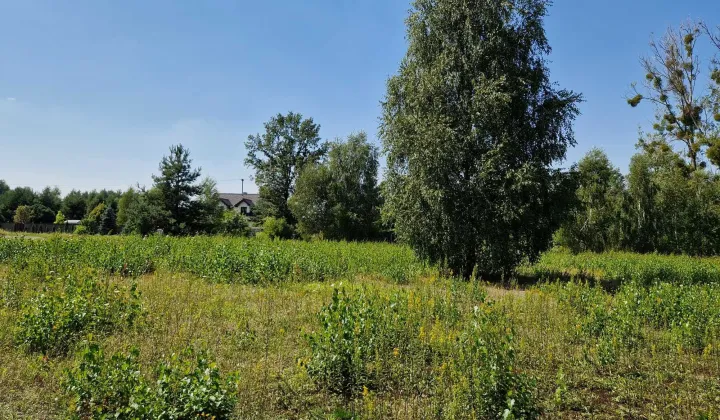 Działka budowlana Błędowo, ul. Słowiańska