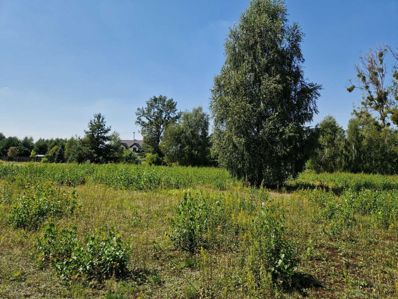Działka budowlana Błędowo, ul. Słowiańska. Zdjęcie 1