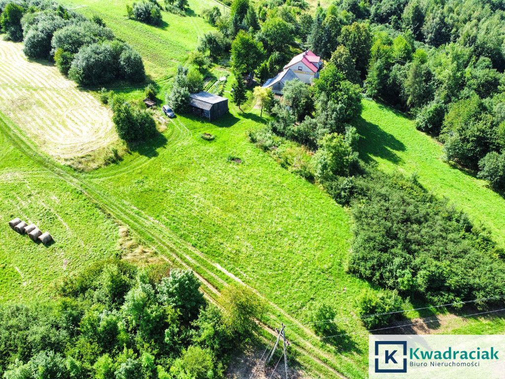 Działka rolna Rogi. Zdjęcie 7