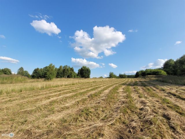 Działka rolna Masłów Drugi. Zdjęcie 11