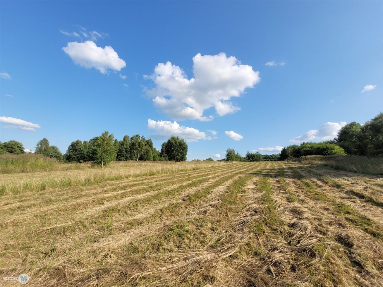 Działka rolna Masłów Drugi. Zdjęcie 11