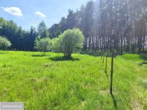 Działka rolna Lgiń. Zdjęcie 4