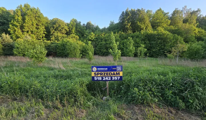 Działka rolno-budowlana Kunów, ul. Laski