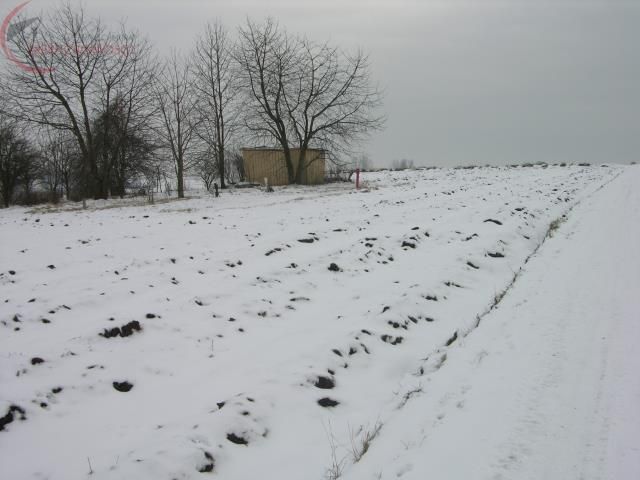 Działka rolna Czuszów. Zdjęcie 6