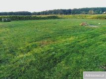 dom szeregowy, 3 pokoje Niemodlin. Zdjęcie 3