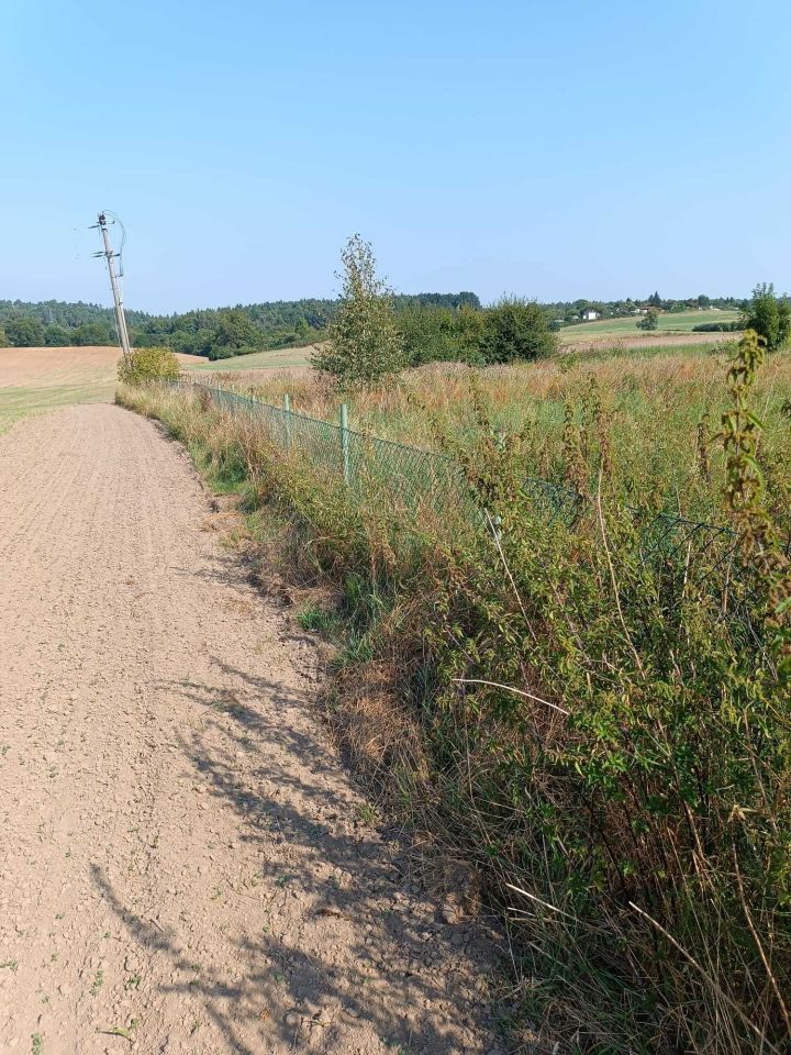 Działka budowlana Dębe. Zdjęcie 5