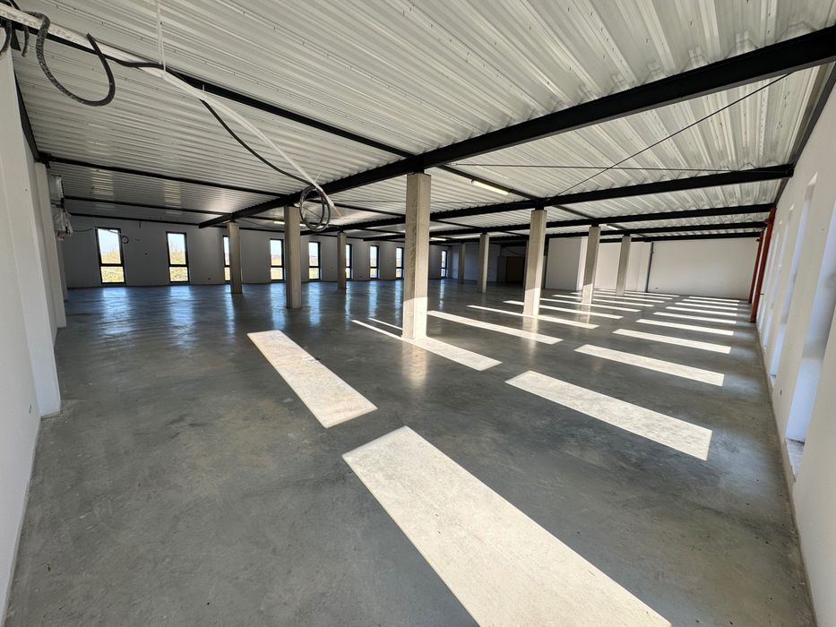 Hala/magazyn Wola Cieklińska. Zdjęcie 5