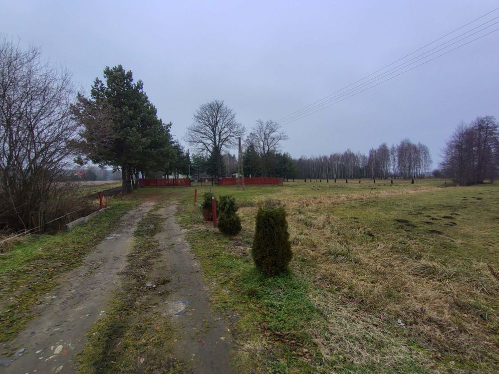 Działka siedliskowa Łosinno, ul. Polna. Zdjęcie 2