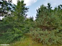 Działka siedliskowa Witowąż. Zdjęcie 2