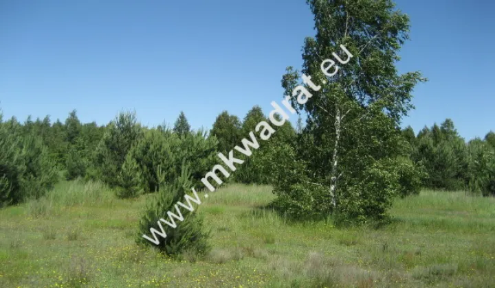 Działka rolna Grzegorzewice