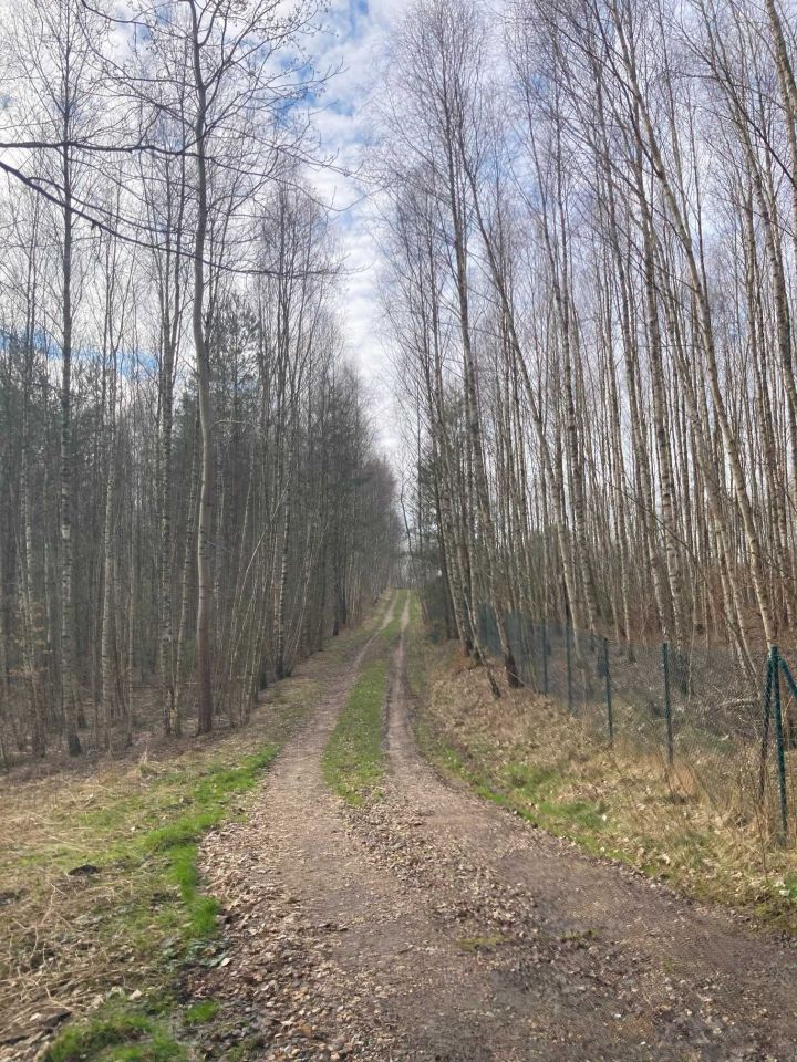 Działka siedliskowa Chrztowo. Zdjęcie 6