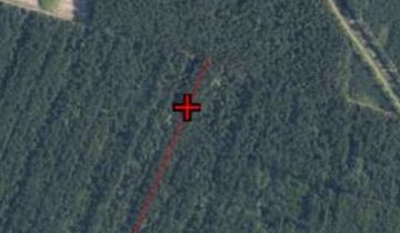 Działka leśna Przełaj Czepiecki