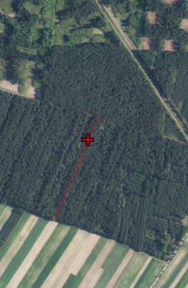 Działka leśna Przełaj Czepiecki. Zdjęcie 2