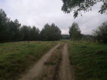 Działka budowlana Jasień. Zdjęcie 1