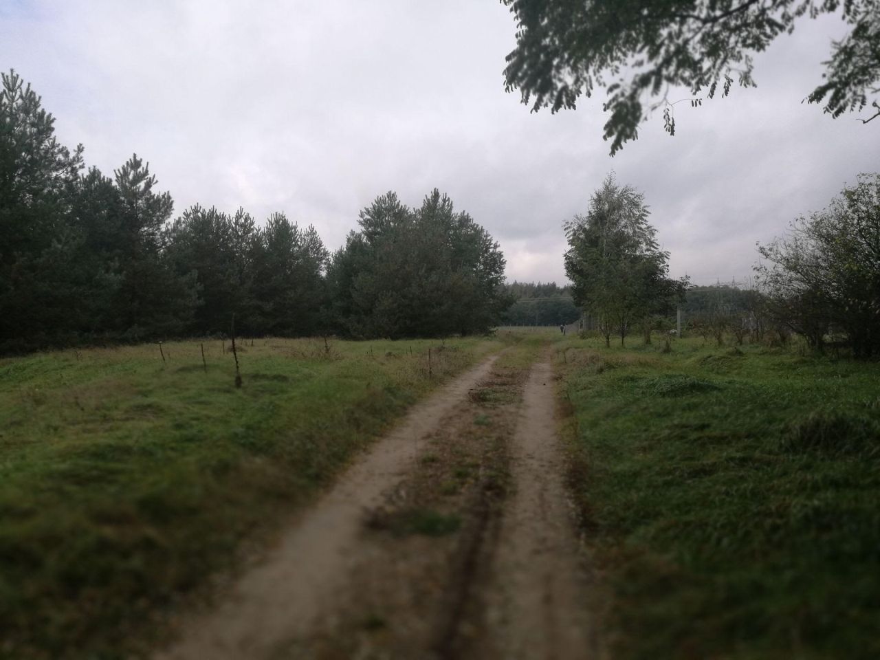 Działka budowlana Jasień. Zdjęcie 2