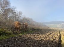 Działka rolno-budowlana Cisia Wola. Zdjęcie 2