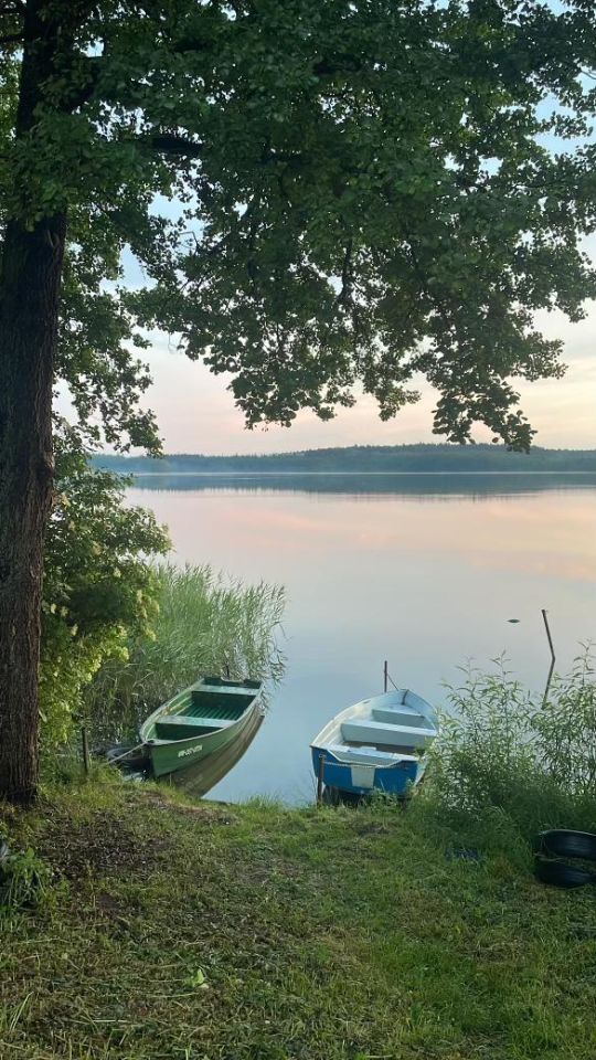 dom wolnostojący, 10 pokoi Ostróda, Kotkowo