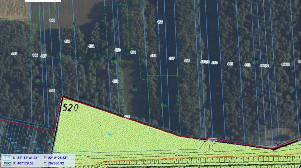 Działka leśna Chojeczno-Sybilaki. Zdjęcie 3