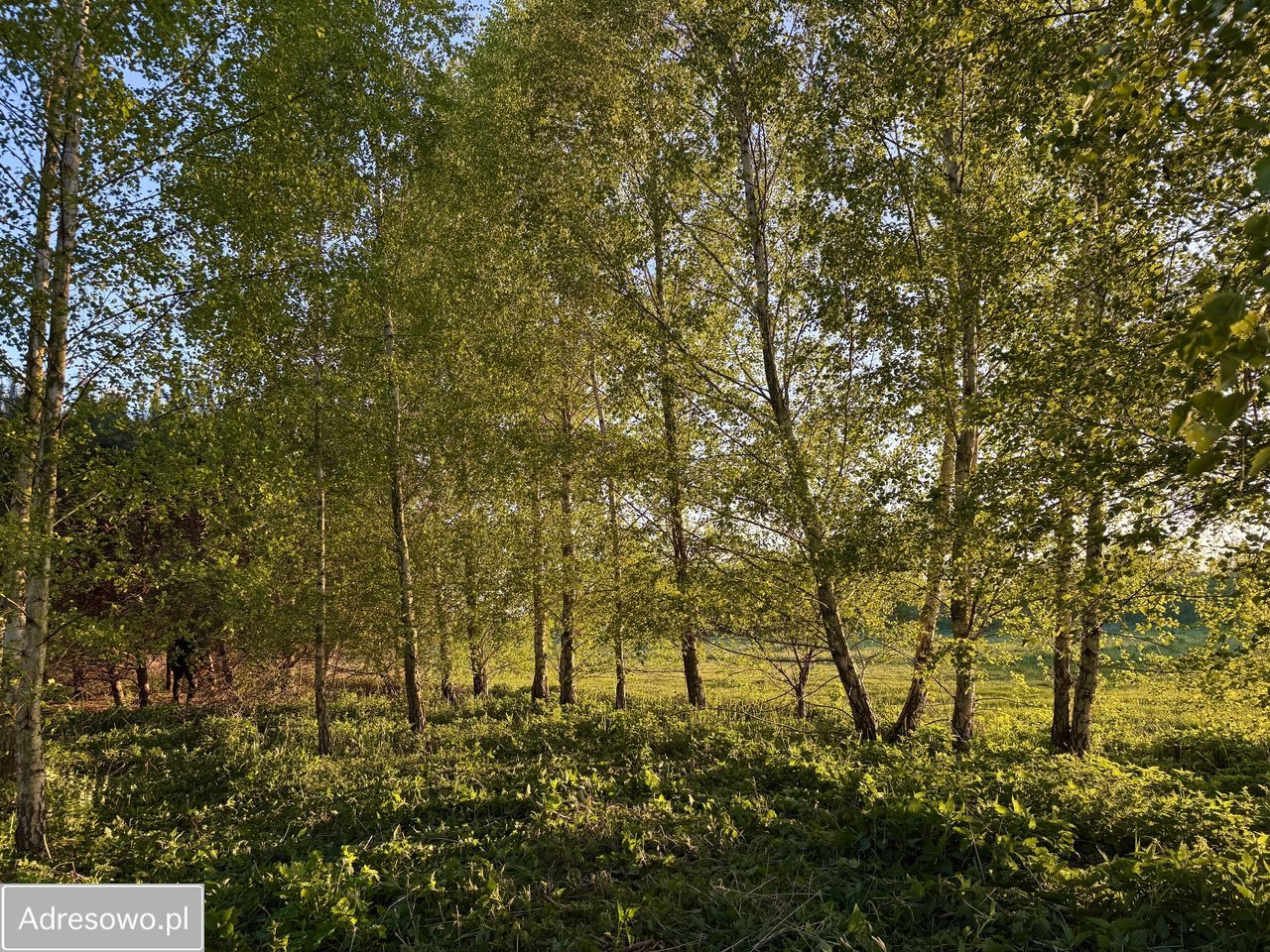 Działka budowlana Przasnysz, ul. Wąska. Zdjęcie 10