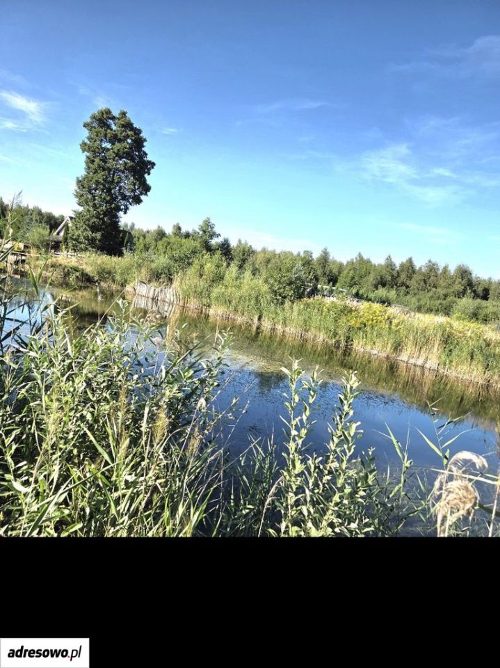 Działka rekreacyjna Sumin. Zdjęcie 2