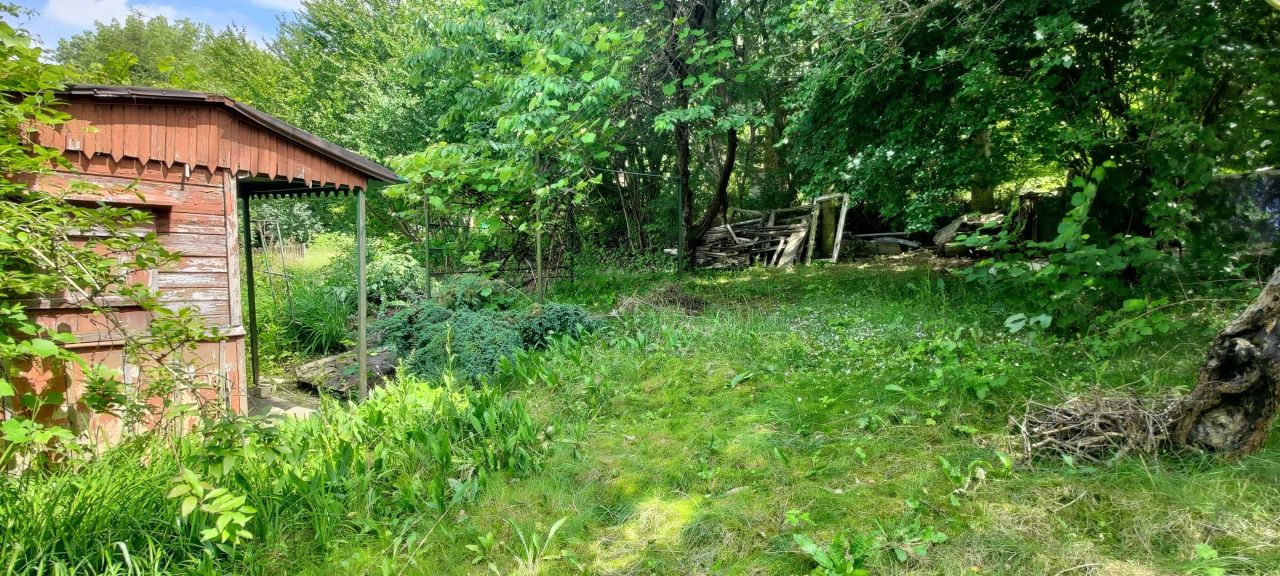 Działka rod Lublin. Zdjęcie 6