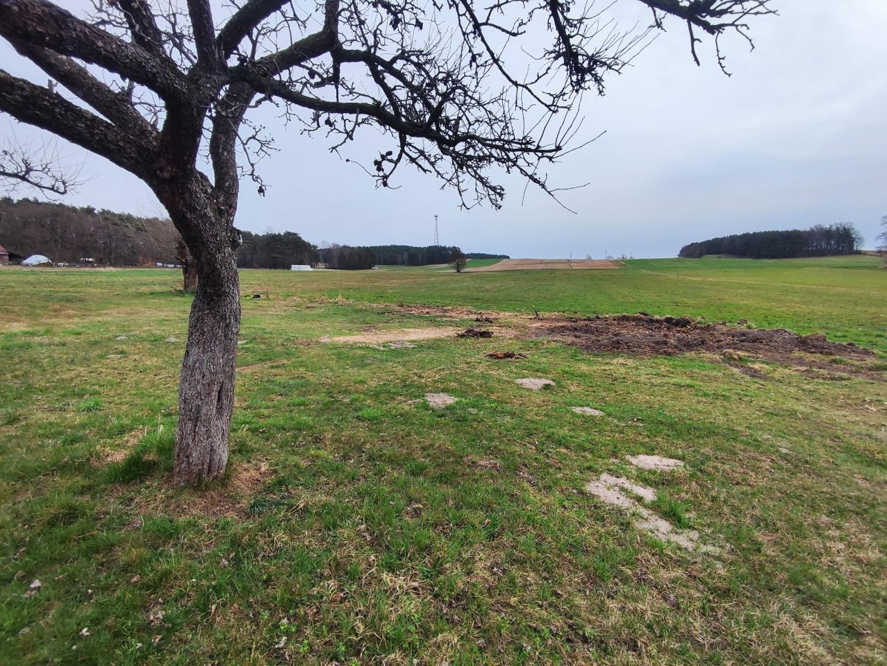 Działka budowlana Ignaców Jawor. Zdjęcie 6