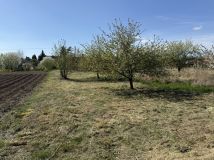 Działka rod Koszewo. Zdjęcie 4