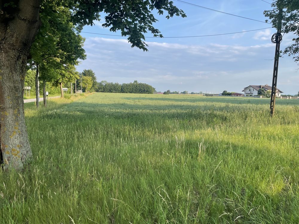 Działka inwestycyjna Bratoszewice. Zdjęcie 1