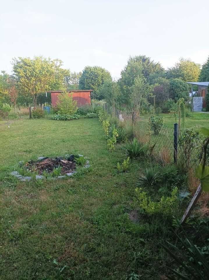 Działka rod Grójec. Zdjęcie 4