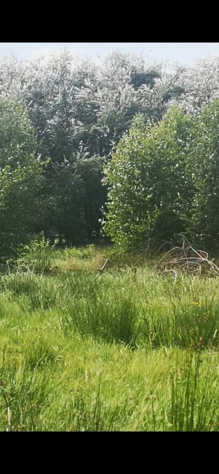 Działka budowlana Słajszewo. Zdjęcie 2