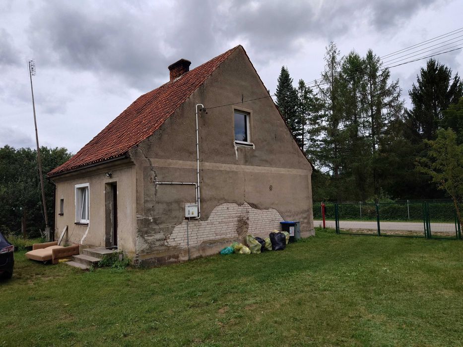 dom wolnostojący Kot