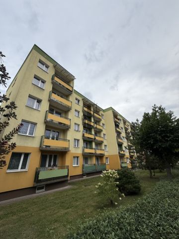 Mieszkanie 4-pokojowe Zamość, ul. Polna. Zdjęcie 17