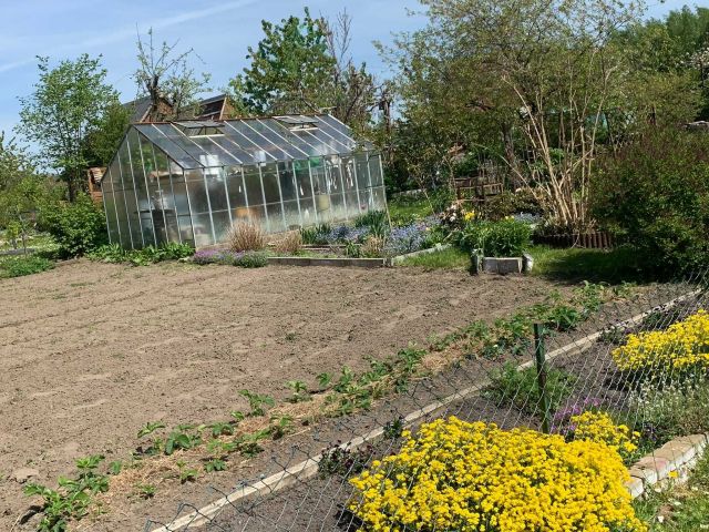 Działka rod Dankowo. Zdjęcie 1