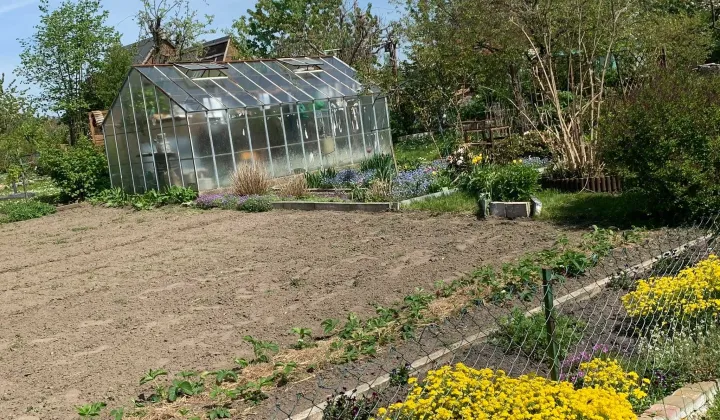 Działka rod Dankowo