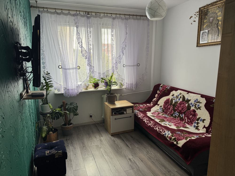 Mieszkanie 2-pokojowe Przasnysz. Zdjęcie 5