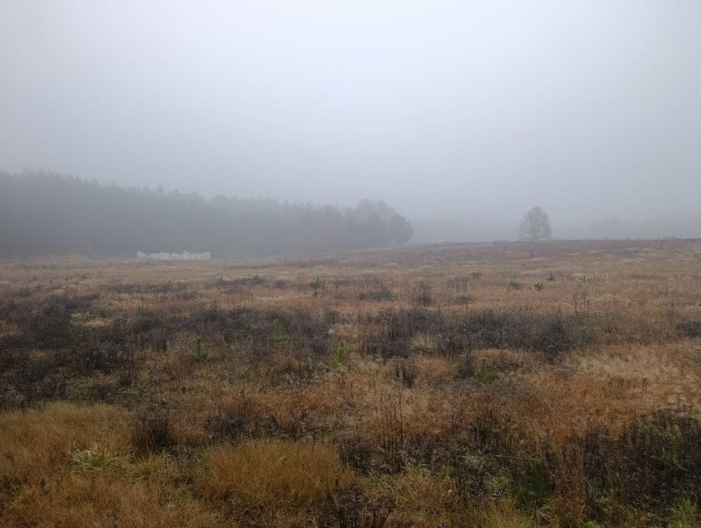 Działka budowlana Ugoszcz. Zdjęcie 4