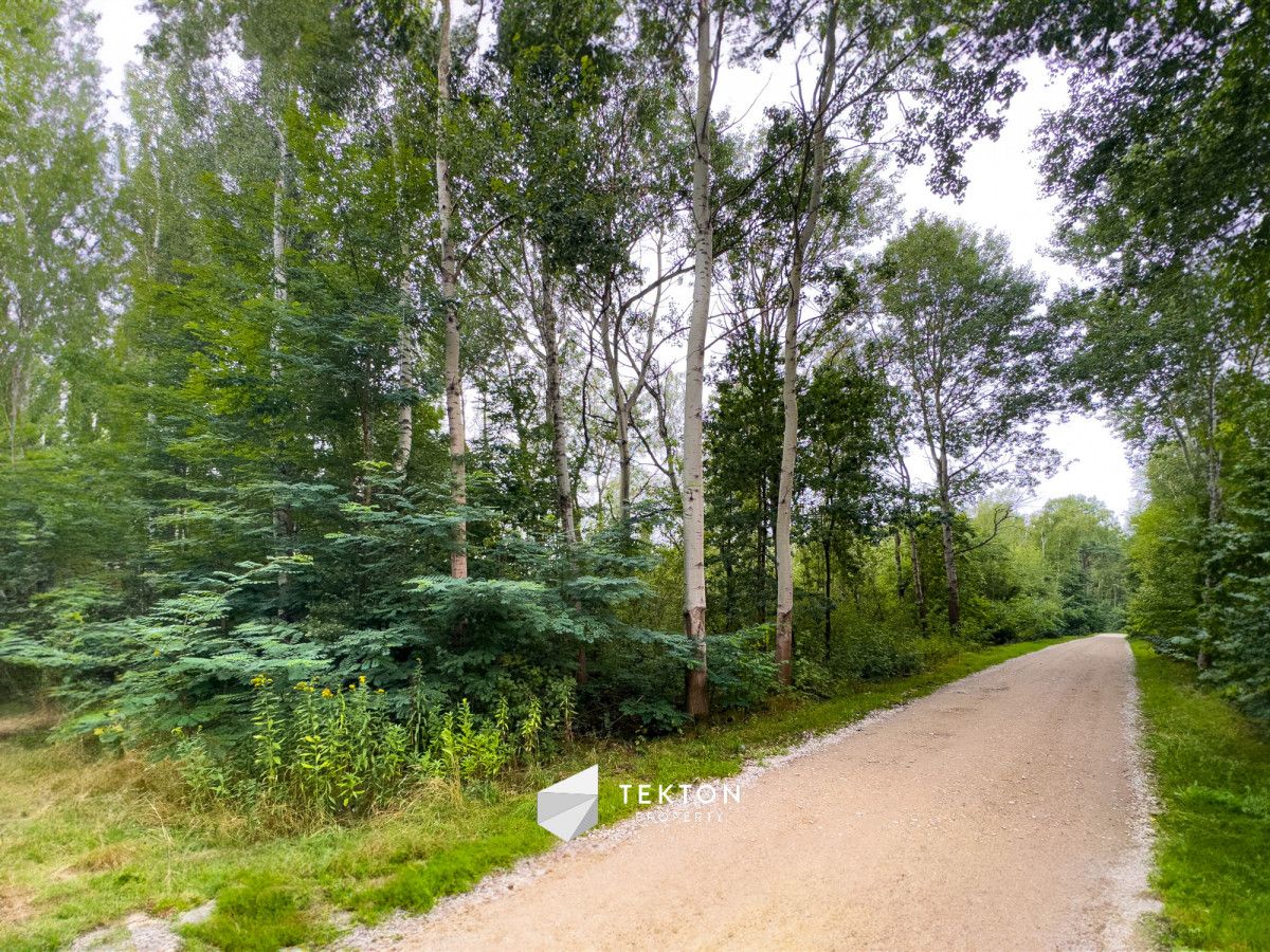 Działka rolno-budowlana Janinów, ul. Szkocka. Zdjęcie 11