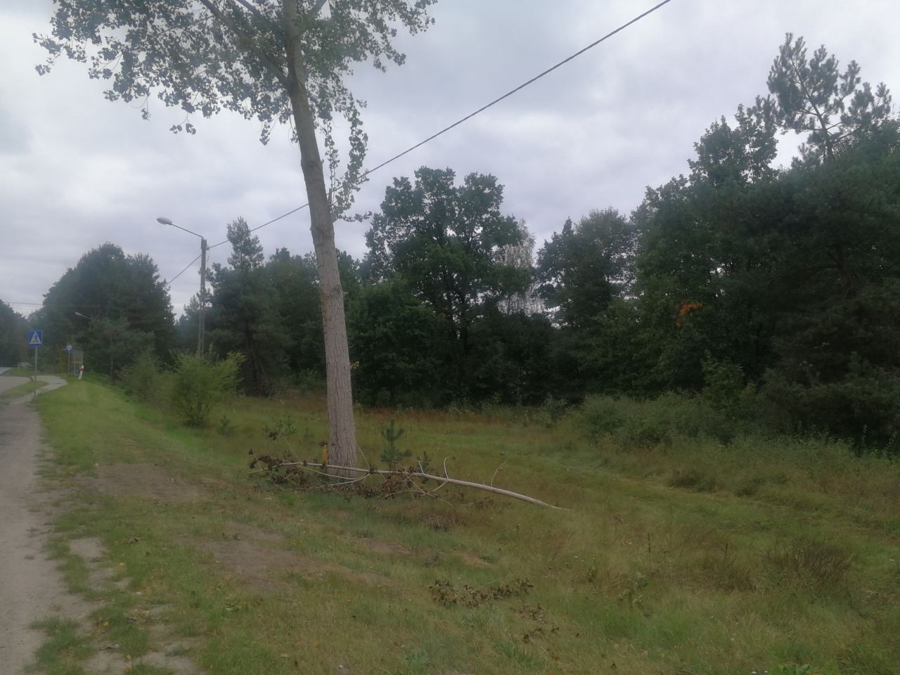 Działka inwestycyjna Siczki Siczki k. Młyna. Zdjęcie 4