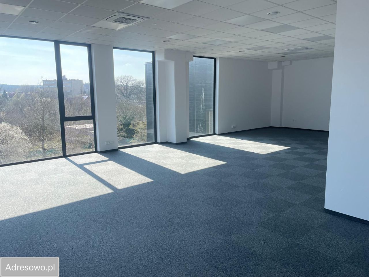 Lokal Zielona Góra Centrum, ul. Objazdowa. Zdjęcie 6