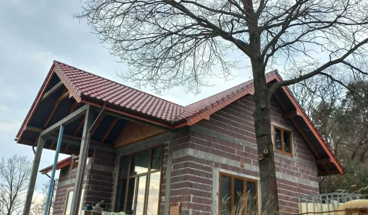 dom wolnostojący Kępina