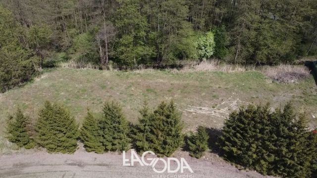 Działka budowlana Kłodawa. Zdjęcie 10