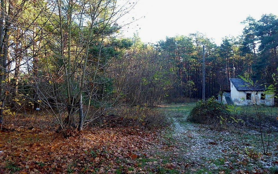 Działka rolno-budowlana Bytnica. Zdjęcie 11