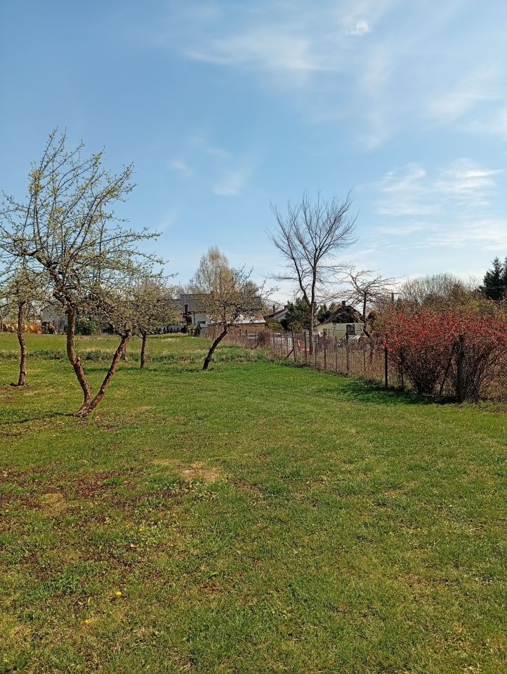 Działka rolno-budowlana Biejków. Zdjęcie 2