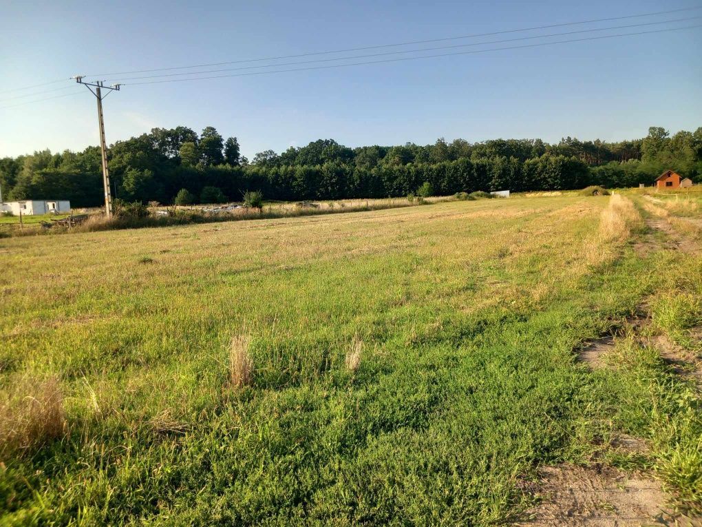 Działka budowlana Wały. Zdjęcie 2