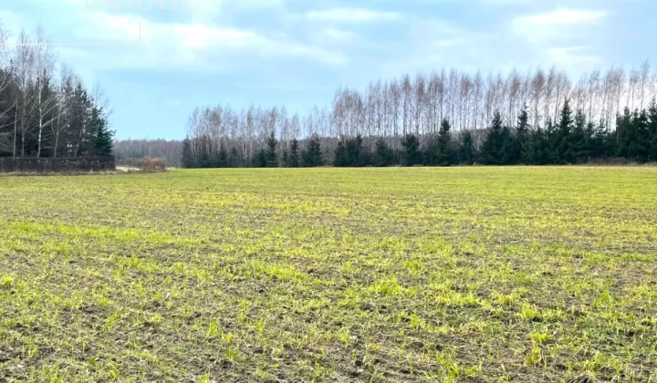 Działka inwestycyjna Harsz