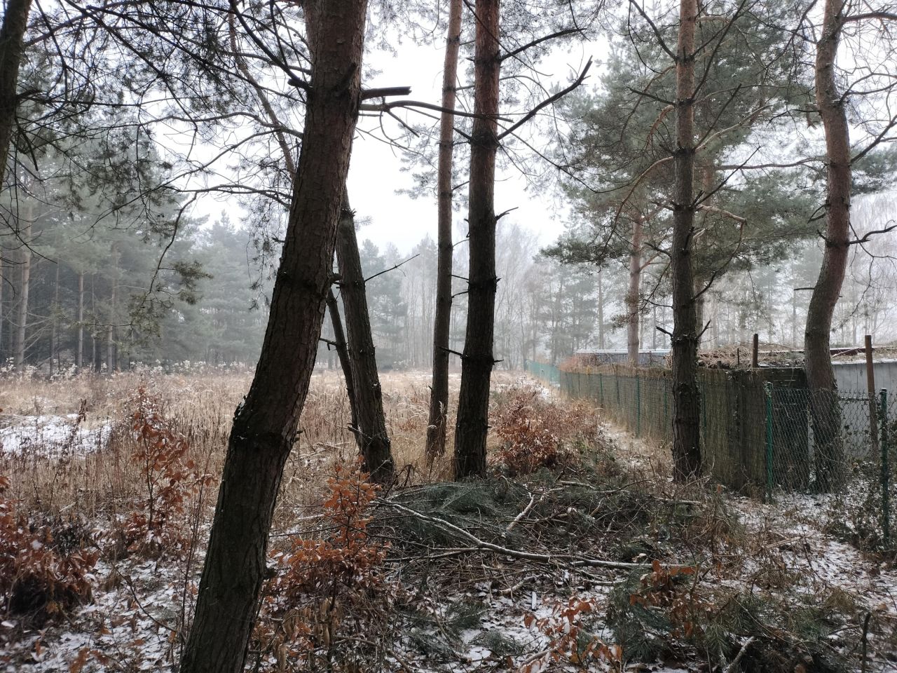 Działka rolno-budowlana Gola Wielka. Zdjęcie 4