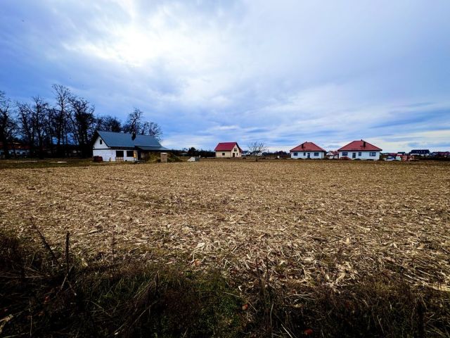 Działka budowlana Nowosiedlice. Zdjęcie 1