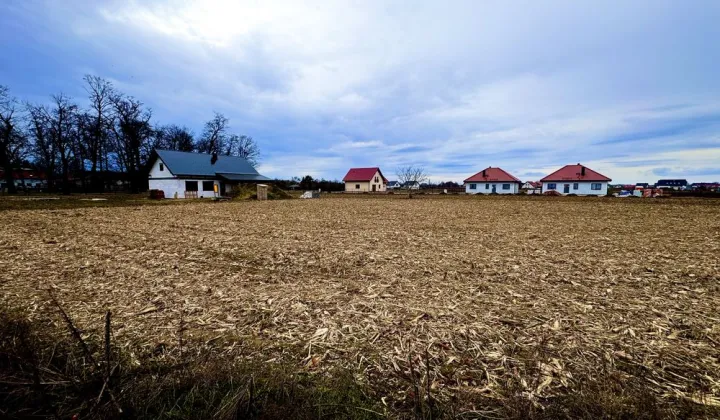 Działka budowlana Nowosiedlice