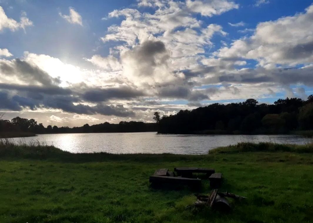 Działka rolna Juchowo. Zdjęcie 4