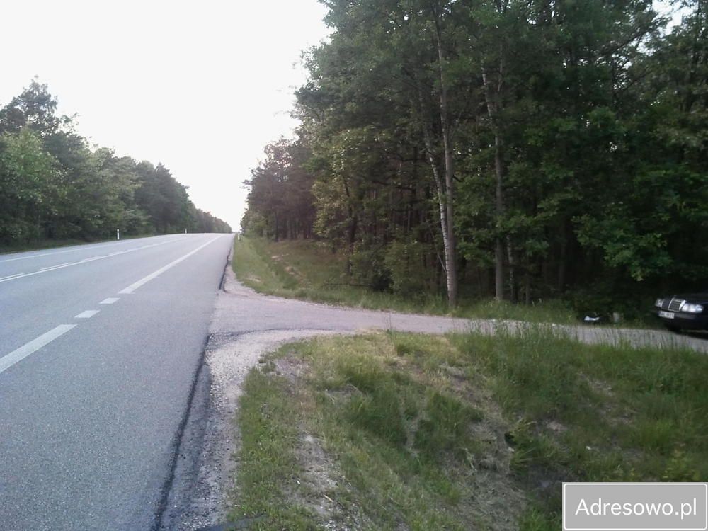Działka rekreacyjna Zamienie. Zdjęcie 2